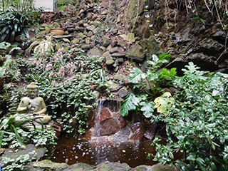 zen garden hills of san francisco walking tour